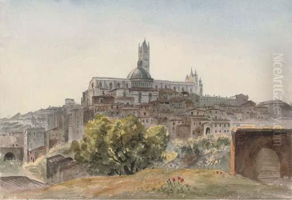 The Cathedral From S. Domenico - view 1