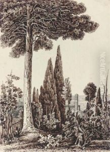 Twenty-seven Drawings Of Italian by Harriet Cheney