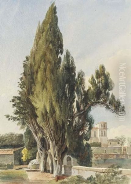 Cypresses At The Villa Albani - view 1