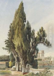 Cypresses At The Villa Albani
