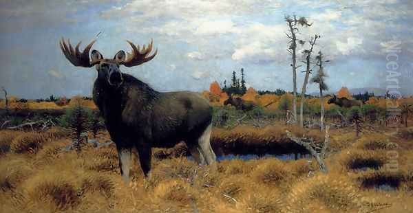 Elks In A Marsh Landscape - view 1