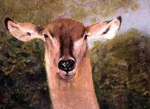 Head of an Antelope by Wilhelm Kuhnert
