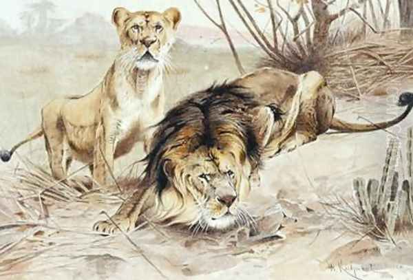 Lion - view 1