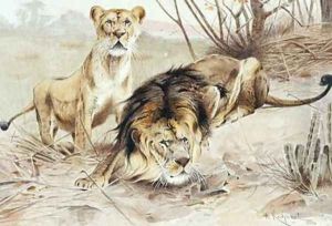 Lion by Wilhelm Kuhnert