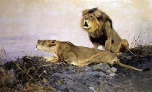 Lion and Lioness on a Rocky Outcrop by Wilhelm Kuhnert