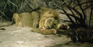 Lion Reclining in a Landscape by Wilhelm Kuhnert
