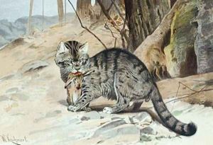 Wildcat by Wilhelm Kuhnert