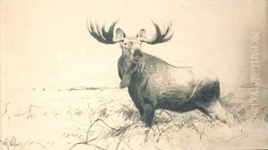 Elk by Wilhelm Kuhnert