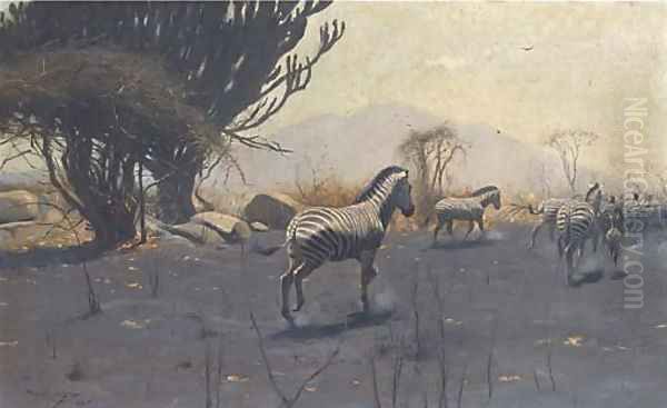 Zebra - view 1