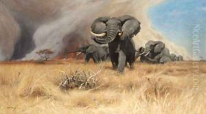 Elephants