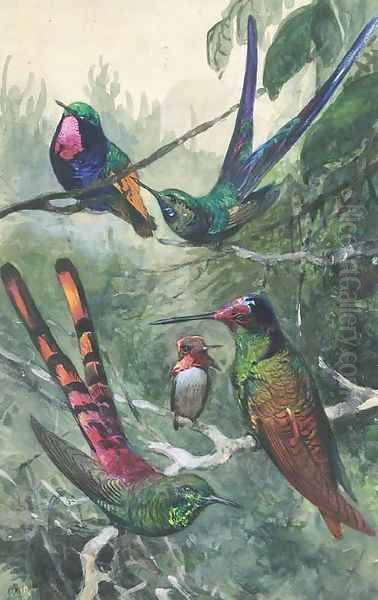 Wildlife and ornithological studies - view 1