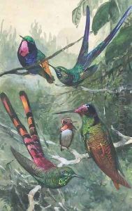 Wildlife and ornithological studies by Wilhelm Kuhnert