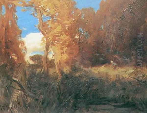 Autumn Forest - view 1