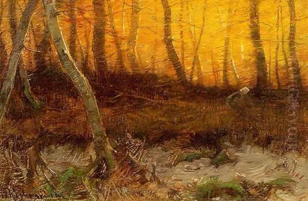 In the Forest at Sunset - view 1