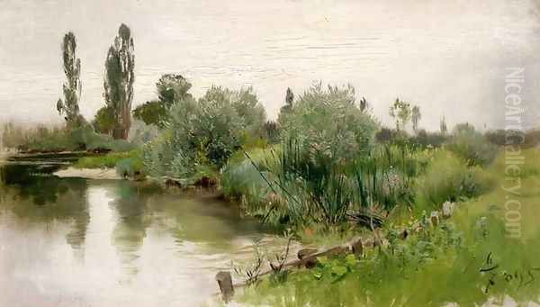 Quiet River in Summer - view 1