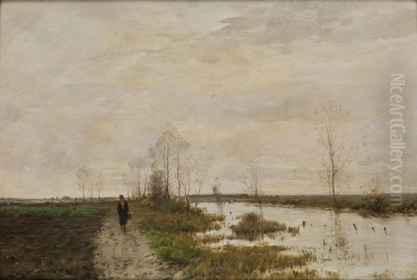Landscape - view 1