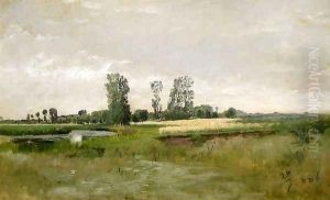 Summer landscape
