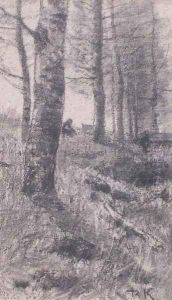 Birches