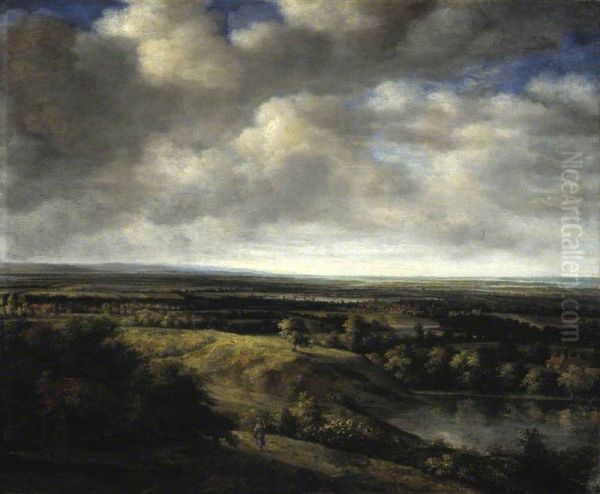 Extensive Landscape - view 1