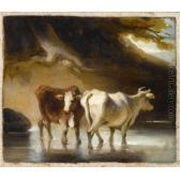 Cattle Fording A River - view 1