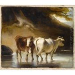 Cattle Fording A River