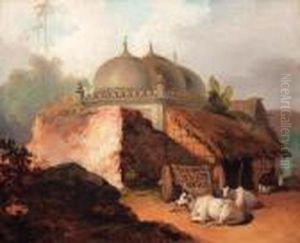 Cattle Resting By A Mosque