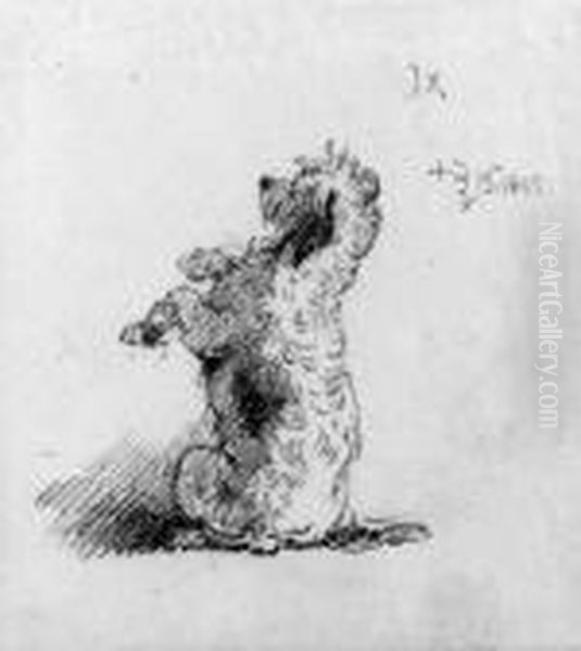 A Poodle Begging: A Study For On Dent's Verandah - view 1