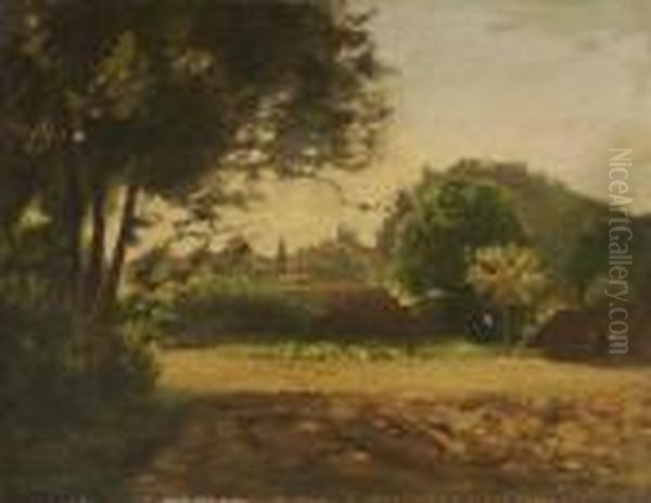 Sommerliche Baumlandschaft - view 1