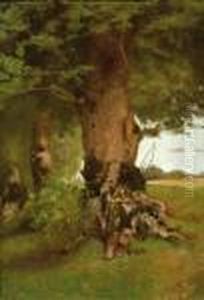 Etude De Troncs D'arbres
