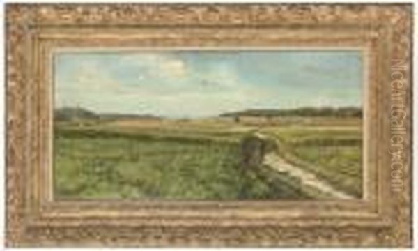 A Path Through The Meadows - view 1