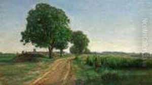 A Country Road In The Summer A Country Road In The Summer