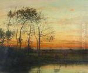 Abendliche Landschaft Mit Rehen. Abendliche Landschaft Mit Rehen.