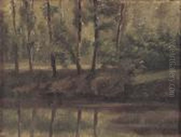 A Wooded River's Edge - view 1
