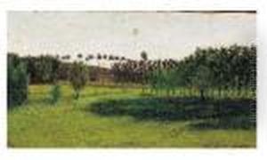 Paysage Aux Peupliers