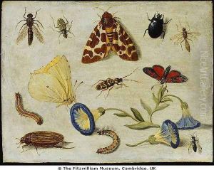 Insects by Jan van Kessel