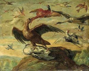 Birds
