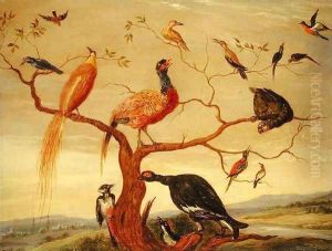 A Concert of Birds by Jan van Kessel