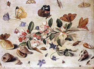 A Study of Flowers and Insects by Jan van Kessel