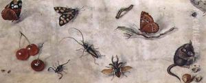 A Study of Various Insects Fruit and Animals