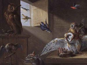 A Family of Owls other Birds and a Cat