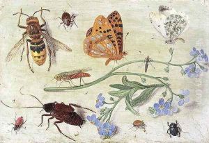 Insects 4 by Jan van Kessel