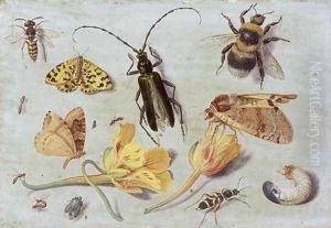 Insects 5 by Jan van Kessel