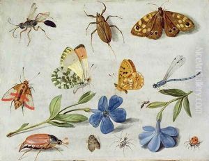 Insects 6 by Jan van Kessel