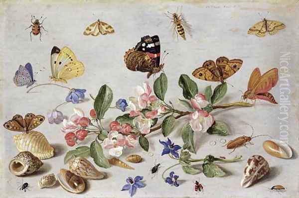 Insects 2 - view 1