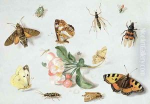 Butterflies moths and other insects with a sprig of apple blossom by Jan van Kessel