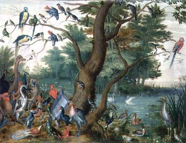 Concert of Birds 3 - view 1