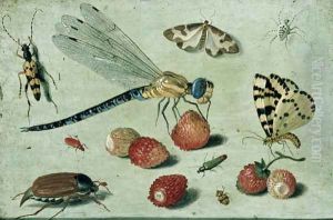 Study of Insects Butterflies and Flowers by Jan van Kessel