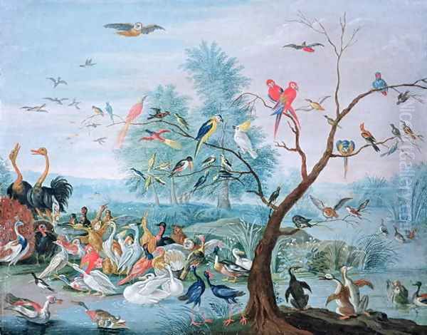 Tropical birds in a landscape - view 1
