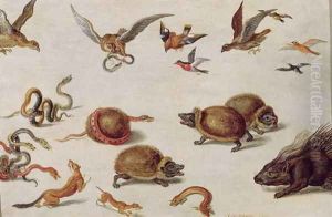 The Enemies of Snakes