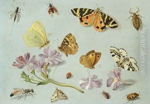 Butterflies moths and other insects with a sprig of periwinkle by Jan van Kessel